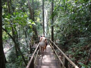 Turismo em Rondônia: 5 cidades imperdíveis - Viajei Bonito