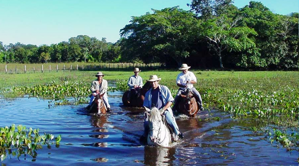 turismo-no-pantanal1