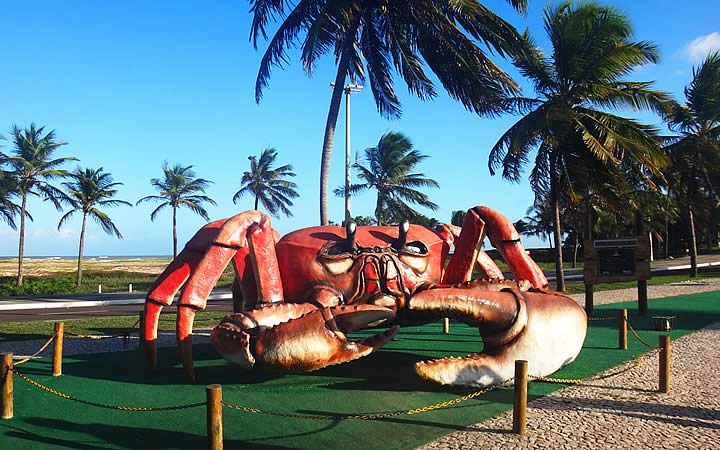 O caranguejo de Sergipe